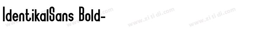 IdentikalSans Bold字体转换